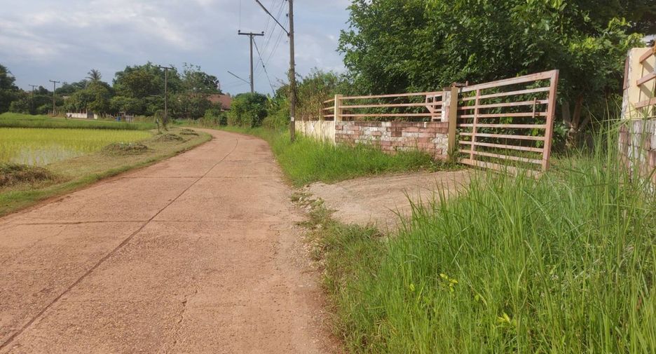 For sale land in Mueang Nong Khai, Nong Khai