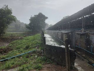 For sale land in Mueang Nong Khai, Nong Khai