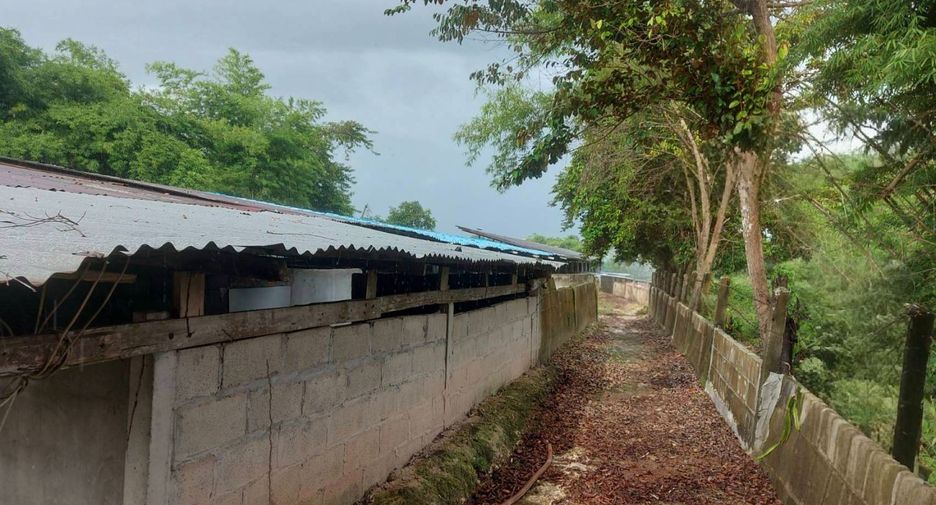 For sale land in Mueang Nong Khai, Nong Khai