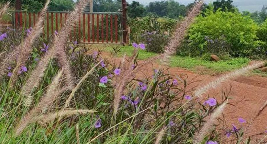 Haus zum Kauf mit 2 Zimmer in Sikhio, Nakhon Ratchasima