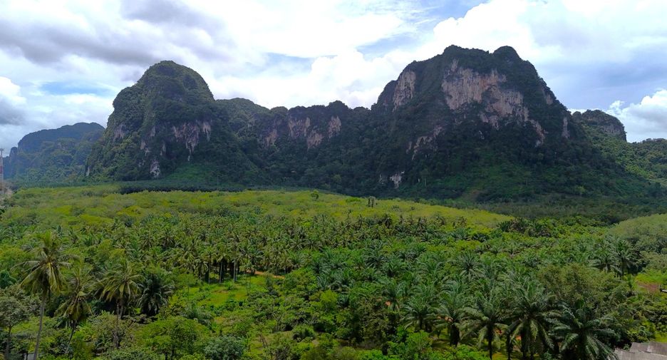 For rent land in Mueang Krabi, Krabi