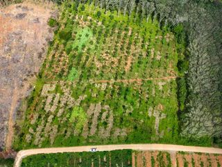 Terreno en venta en Mueang Krabi, Krabi