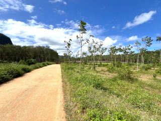 Terreno en venta en Mueang Krabi, Krabi
