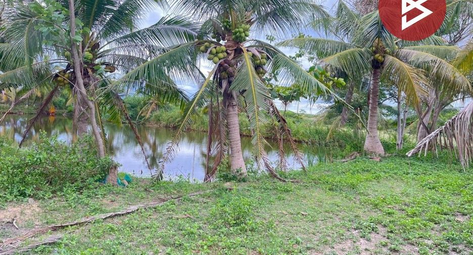 ขาย ที่ดิน ใน เมืองเพชรบุรี, เพชรบุรี