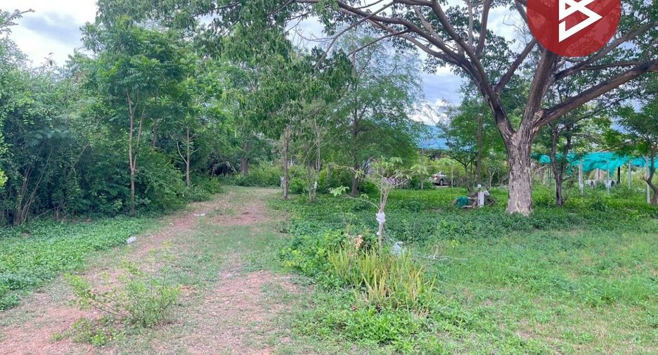 ขาย ที่ดิน ใน เมืองเพชรบุรี, เพชรบุรี