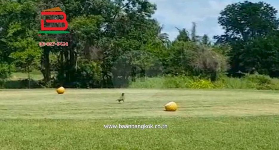 For sale land in Ban Chang, Rayong