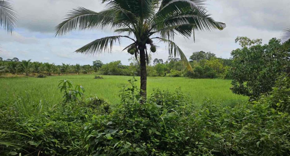 For sale land in Mueang Trat, Trat
