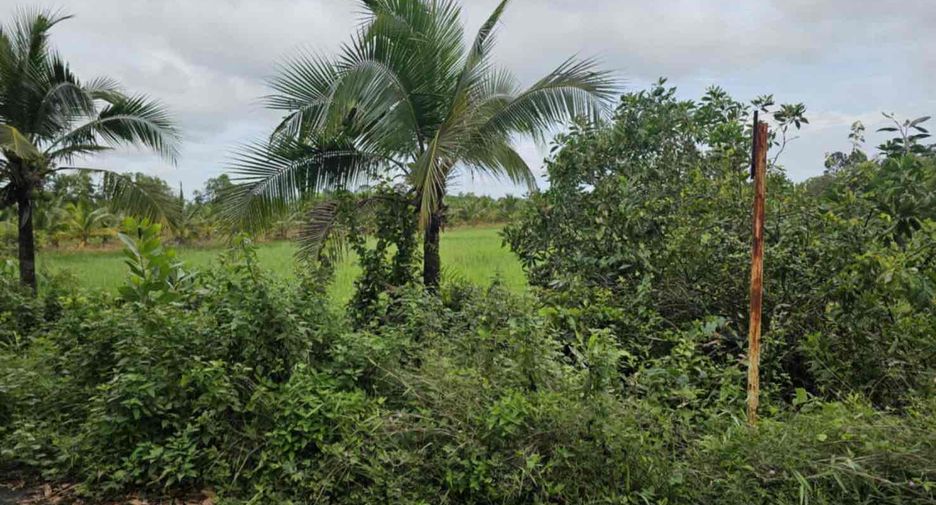 For sale land in Mueang Trat, Trat