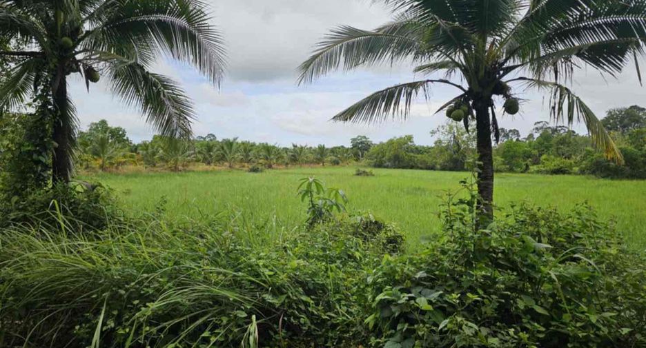 For sale land in Mueang Trat, Trat