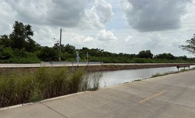 Продажа Участок в Khlong Luang, Патумтани