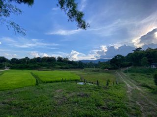出售 土地 在 Mae Rim, Chiang Mai