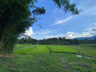 出售 土地 在 Mae Rim, Chiang Mai