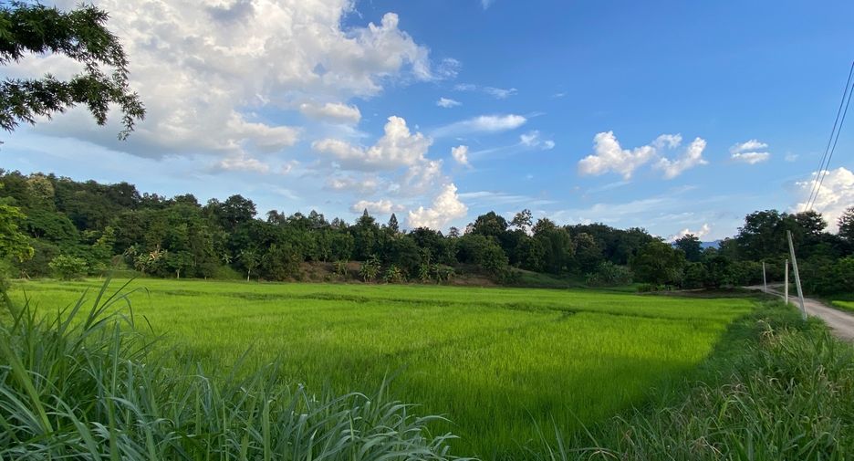 出售 土地 在 Mae Rim, Chiang Mai