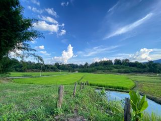 出售 土地 在 Mae Rim, Chiang Mai