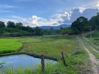 出售 土地 在 Mae Rim, Chiang Mai