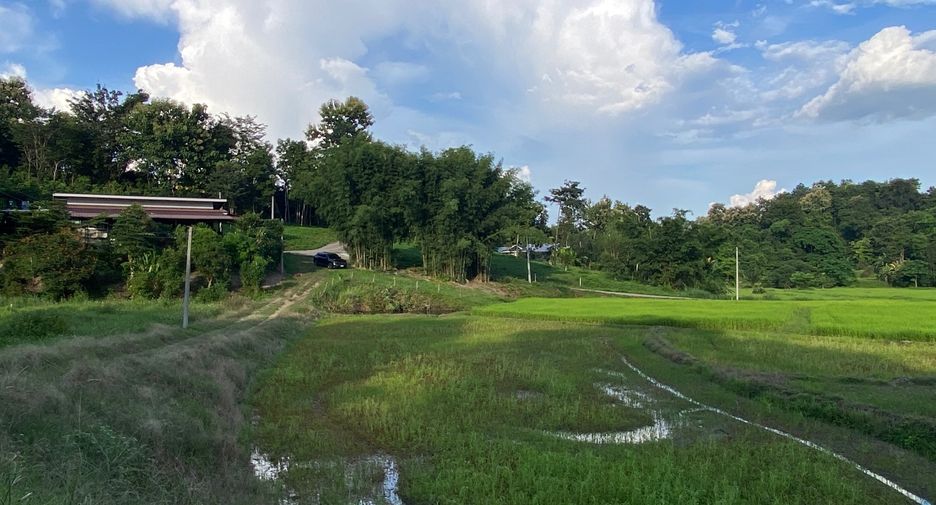 出售 土地 在 Mae Rim, Chiang Mai