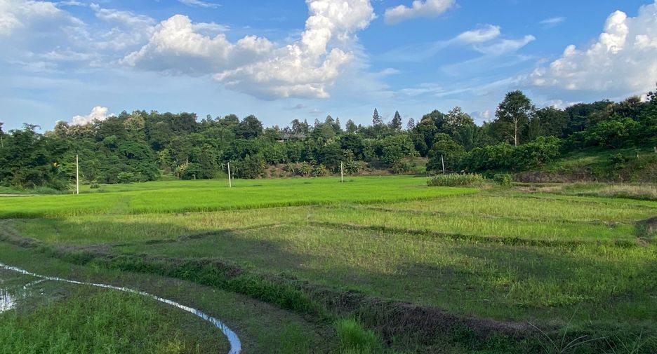 出售 土地 在 Mae Rim, Chiang Mai