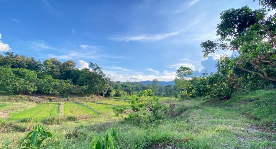 出售 土地 在 Mae Rim, Chiang Mai