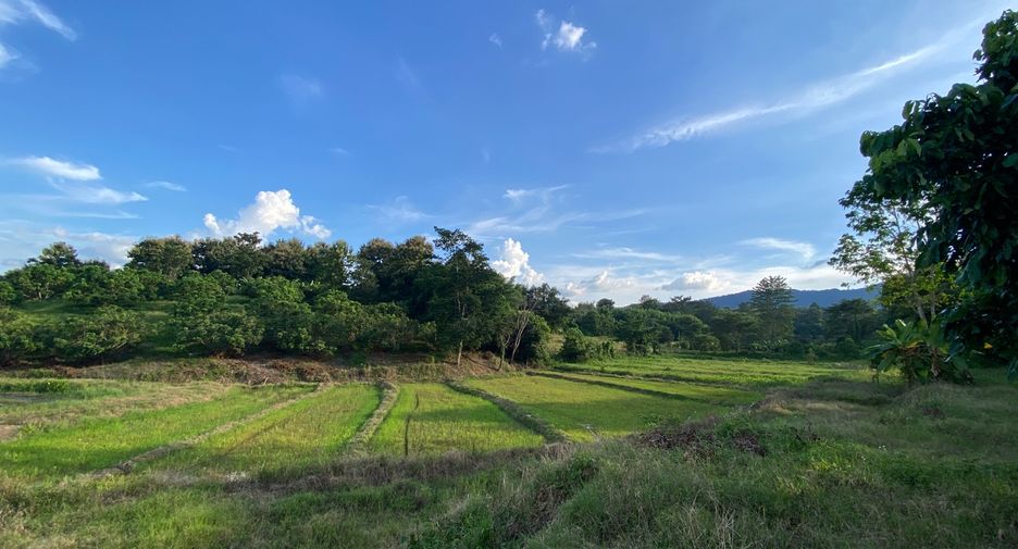 出售 土地 在 Mae Rim, Chiang Mai
