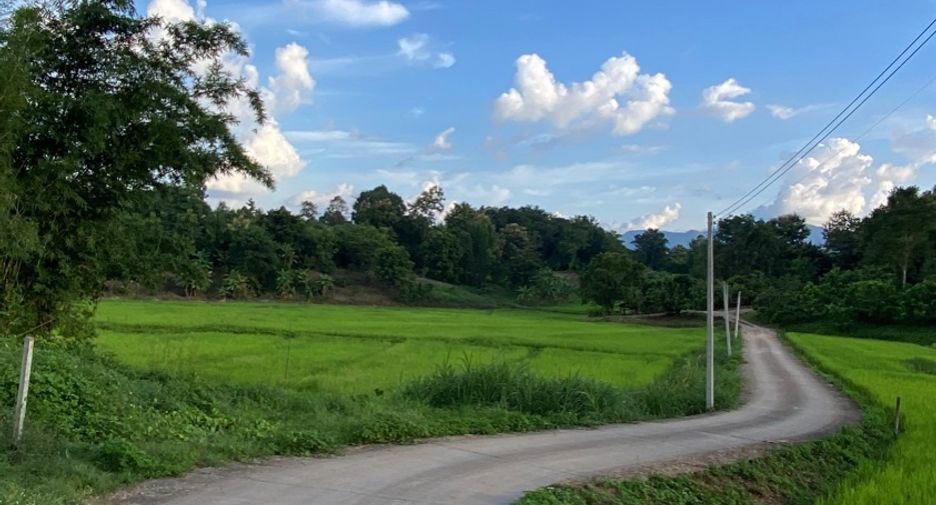 出售 土地 在 Mae Rim, Chiang Mai