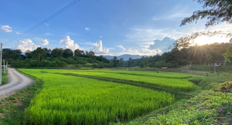 出售 土地 在 Mae Rim, Chiang Mai