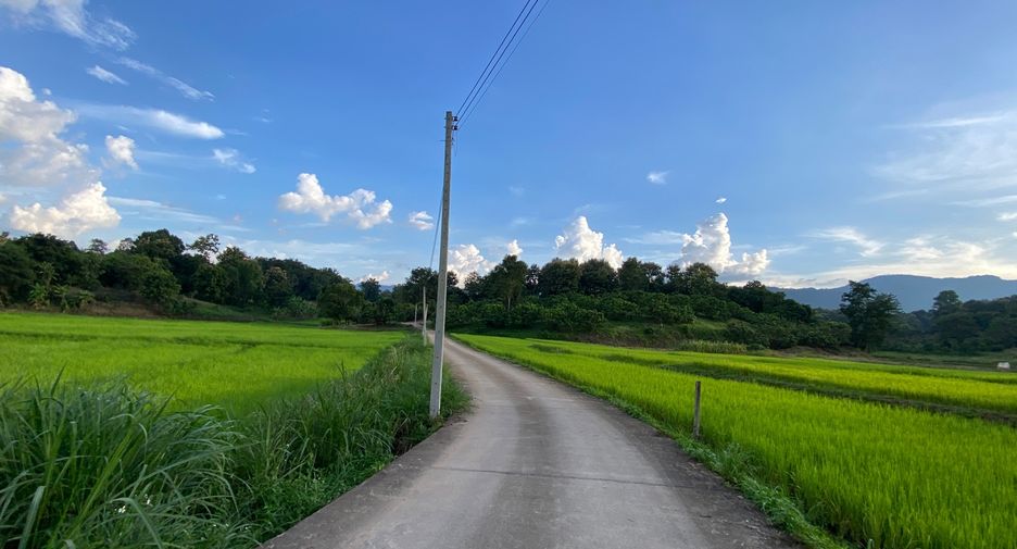 出售 土地 在 Mae Rim, Chiang Mai
