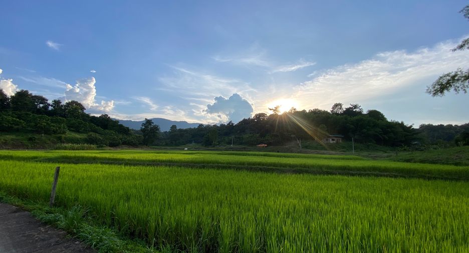 出售 土地 在 Mae Rim, Chiang Mai