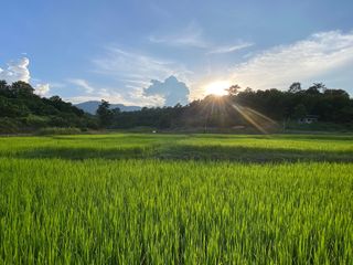 出售 土地 在 Mae Rim, Chiang Mai