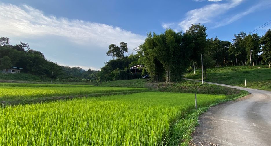 出售 土地 在 Mae Rim, Chiang Mai
