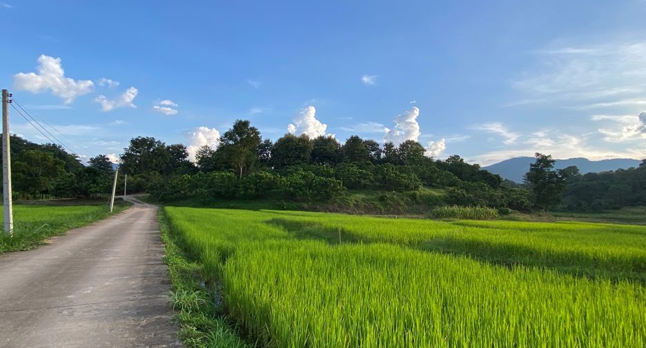 出售 土地 在 Mae Rim, Chiang Mai