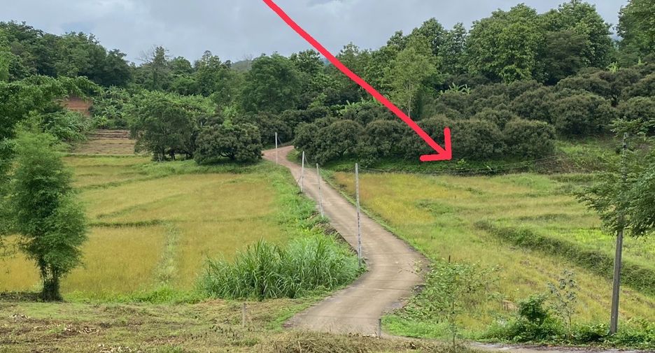 出售 土地 在 Mae Rim, Chiang Mai
