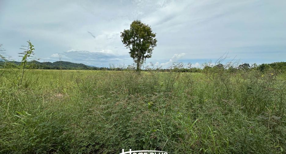 Grundstück zum Kauf in Mueang Nakhon Nayok, Nakhon Nayok