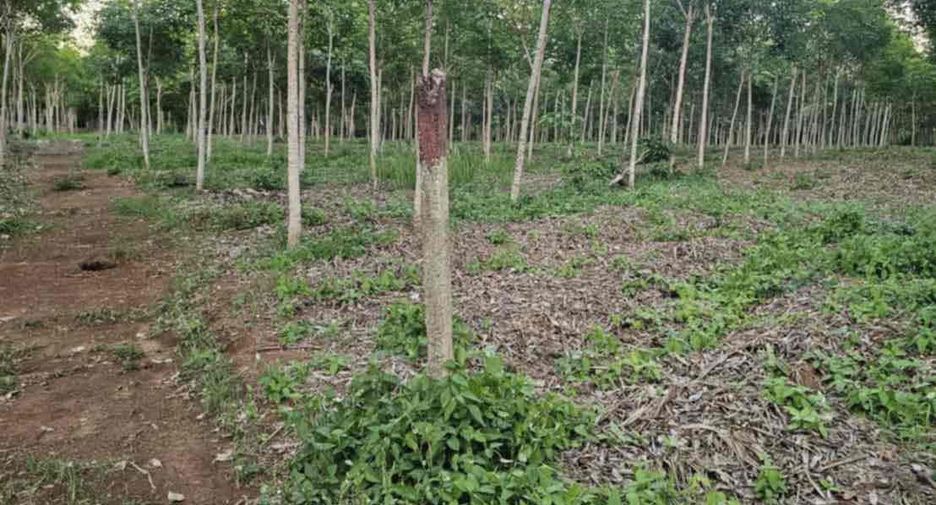 Terreno en venta en Laem Ngop, Trat