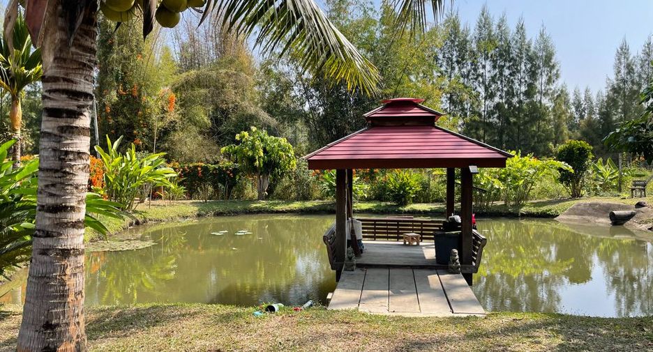 For sale 5 bedrooms house in Mae Rim, Chiang Mai