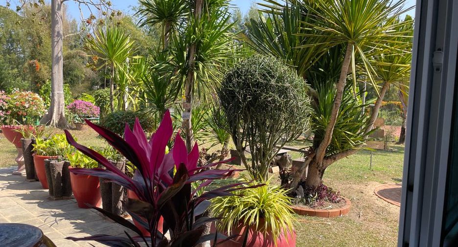 For sale 5 bedrooms house in Mae Rim, Chiang Mai