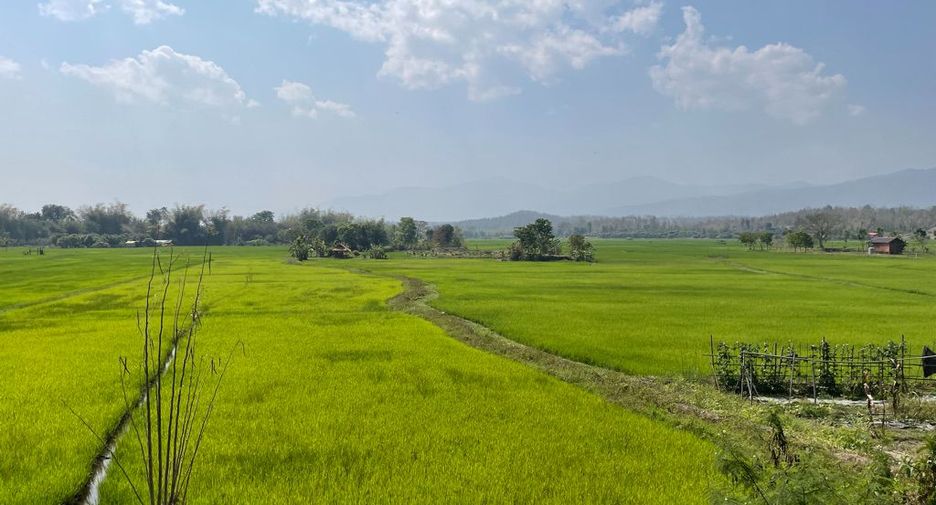For sale 5 bedrooms house in Mae Rim, Chiang Mai