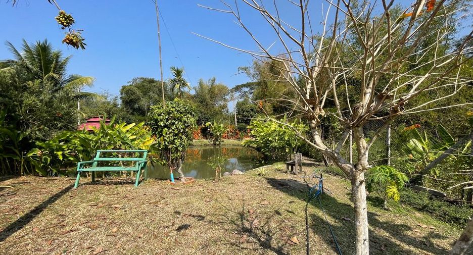 For sale 5 bedrooms house in Mae Rim, Chiang Mai