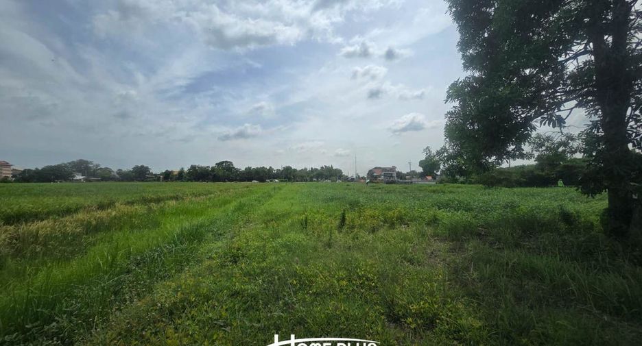 For sale land in Nong Chok, Bangkok