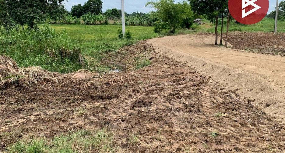 For sale land in Manorom, Chainat