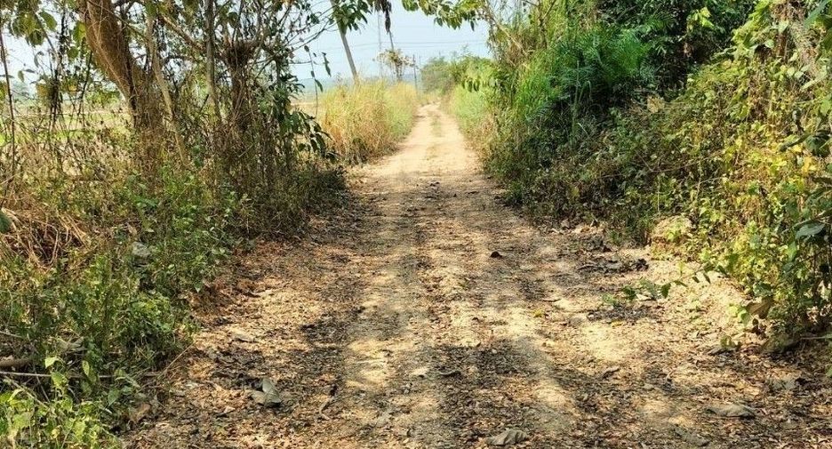 For sale land in Chiang Saen, Chiang Rai