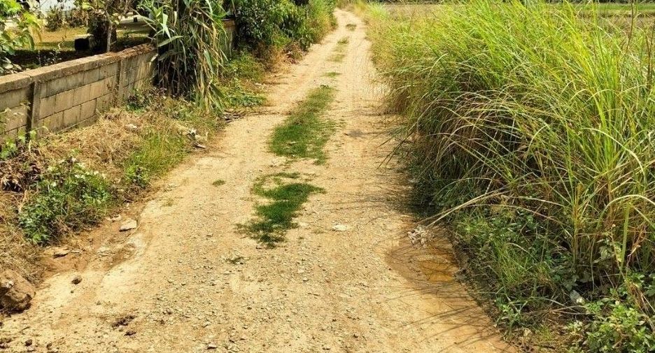 For sale land in Chiang Saen, Chiang Rai