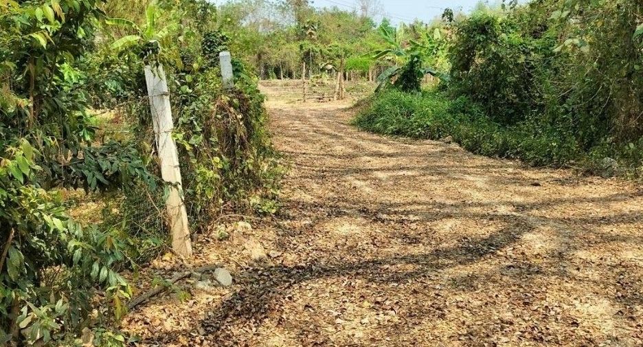 For sale land in Chiang Saen, Chiang Rai
