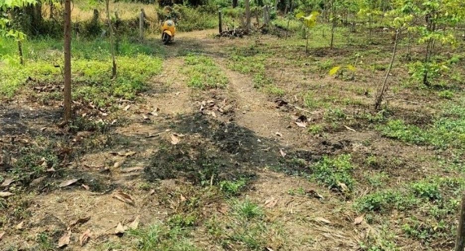 For sale land in Chiang Saen, Chiang Rai