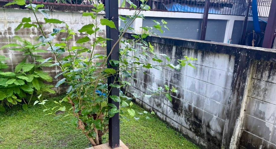 For sale 3 bedrooms house in Nong Chok, Bangkok