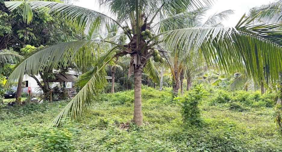 Grundstück zum Kauf in Mueang Krabi, Krabi