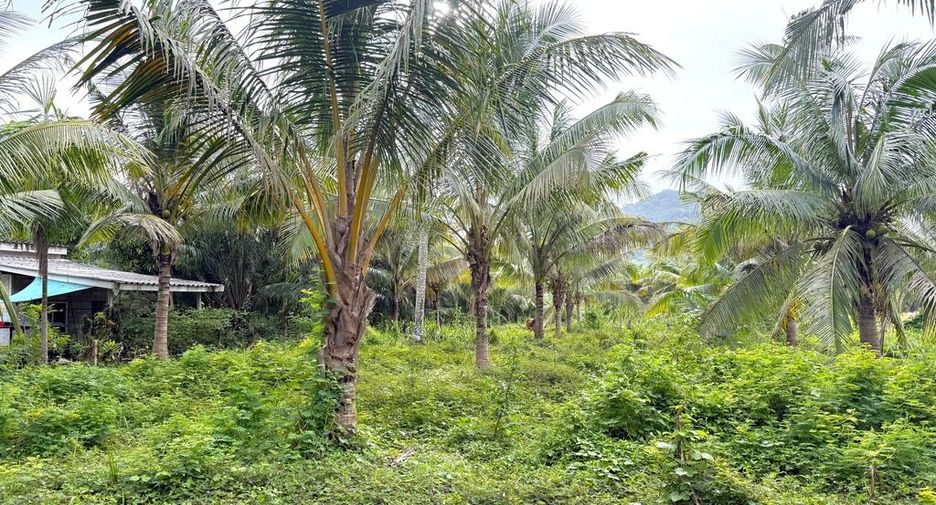 Grundstück zum Kauf in Mueang Krabi, Krabi