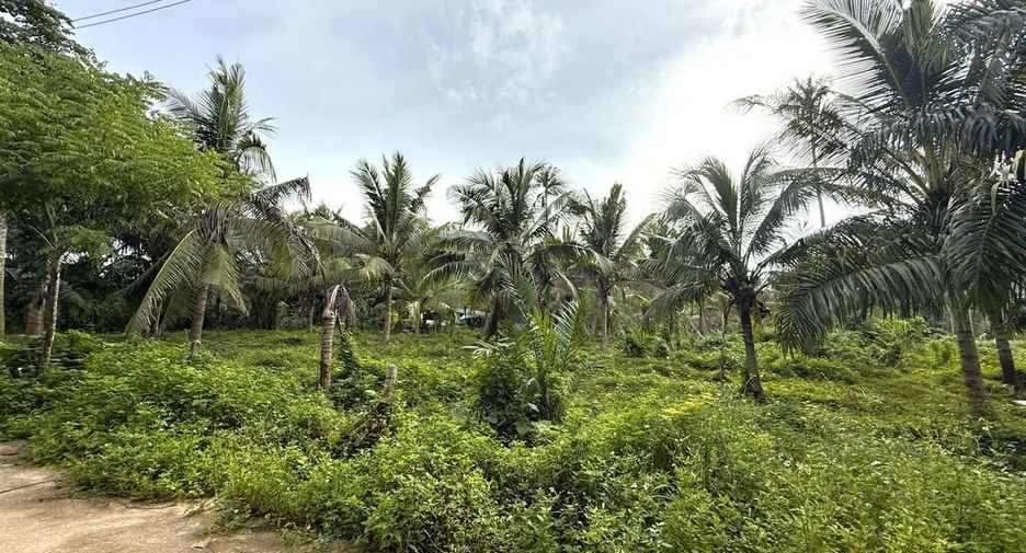 Grundstück zum Kauf in Mueang Krabi, Krabi