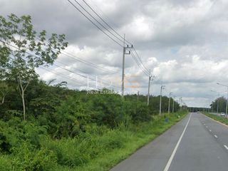 ขาย ที่ดิน ใน หนองใหญ่, ชลบุรี