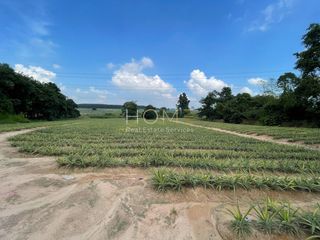 出售 土地 在 Pluak Daeng, Rayong