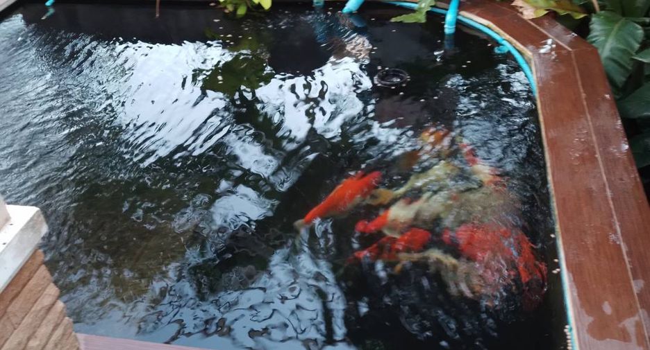 Продажа 3 спальни дом в Mueang Surat Thani, Сураттани